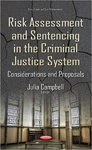 Risk Assessment and Sentencing in the Criminal Justice System:  Considerations and Proposals